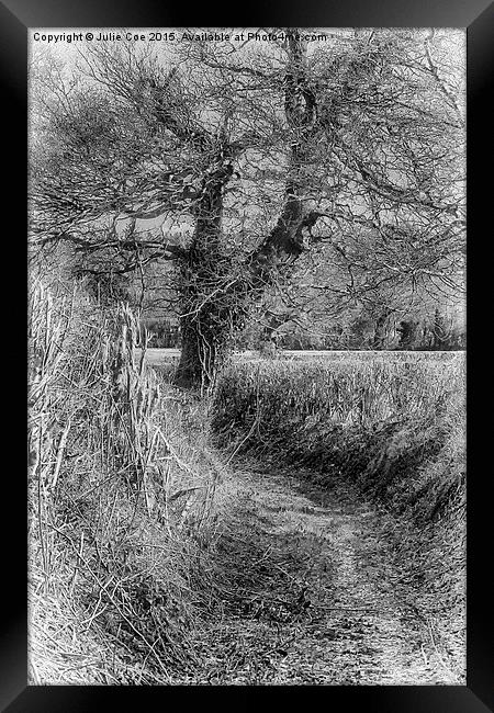 Black and White Lane Framed Print by Julie Coe