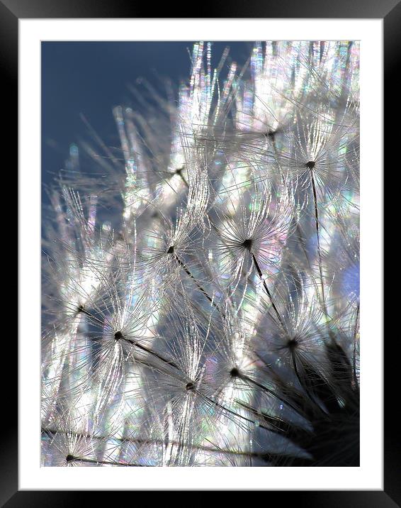 Dandy Abstract Framed Mounted Print by Julie Coe