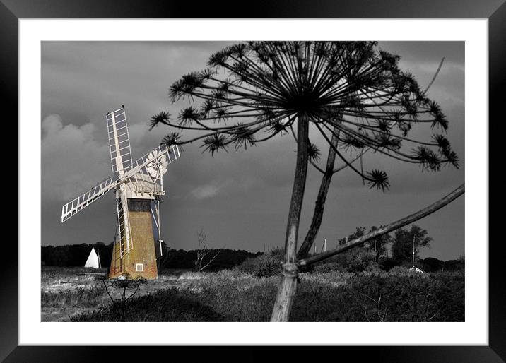 Colourful Mill Framed Mounted Print by Barry Norton