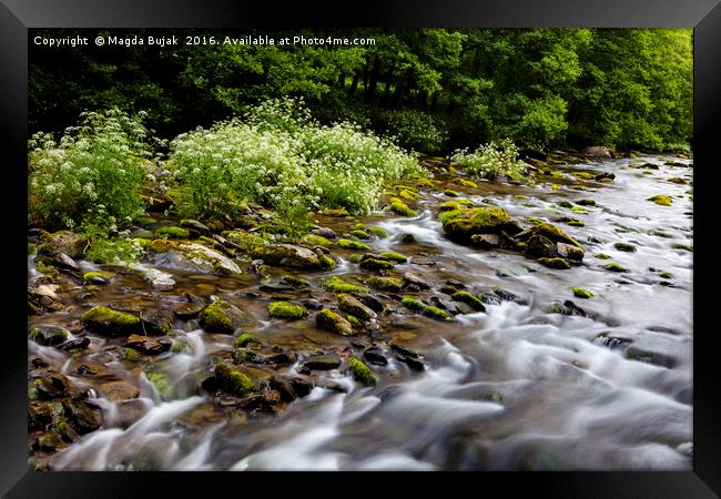 East Lyn river, North Devon, UK Framed Print by Magdalena Bujak