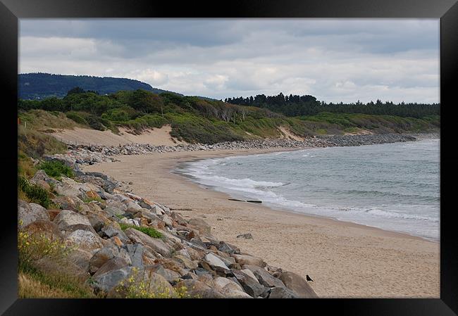 Shore Line Framed Print by David Moate