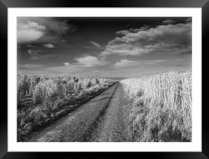 Road to Nowhere Framed Mounted Print by David Moate