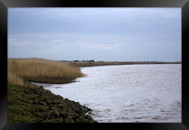 Looking up the Humber Shore Line Framed Print by David Moate