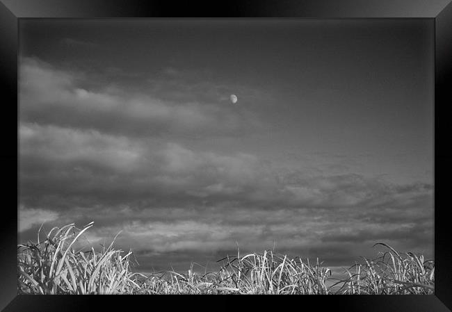 Moon and Clouds Framed Print by David Moate