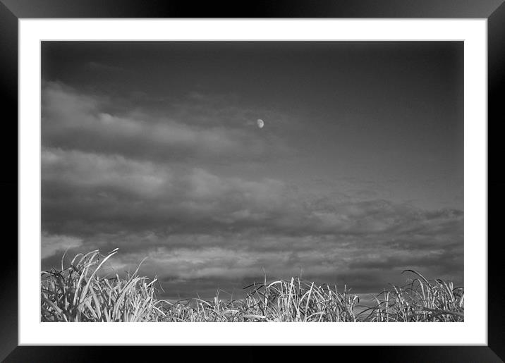 Moon and Clouds Framed Mounted Print by David Moate