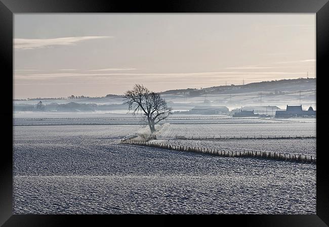 Winter Mist Framed Print by Andrew Beveridge