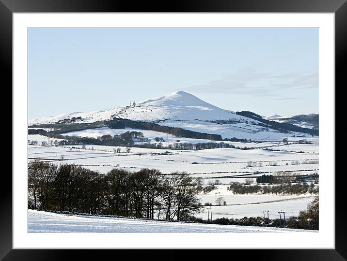 Winter Lomond Hills Framed Mounted Print by Andrew Beveridge