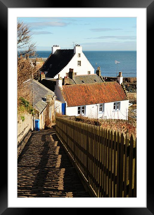 Crail Hens Ladder Framed Mounted Print by Andrew Beveridge