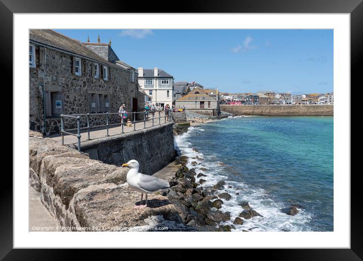 St Ives seagull seascape  Framed Mounted Print by Rob Hawkins