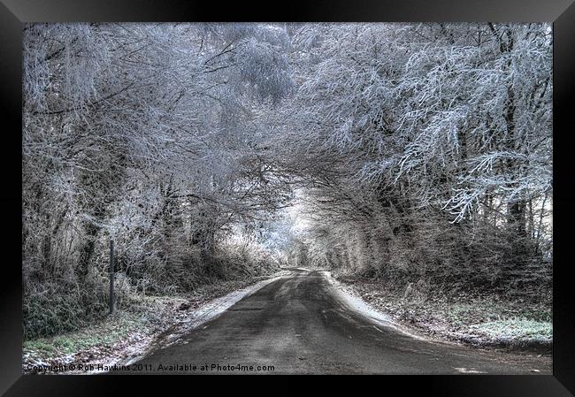 Winter Trees Framed Print by Rob Hawkins