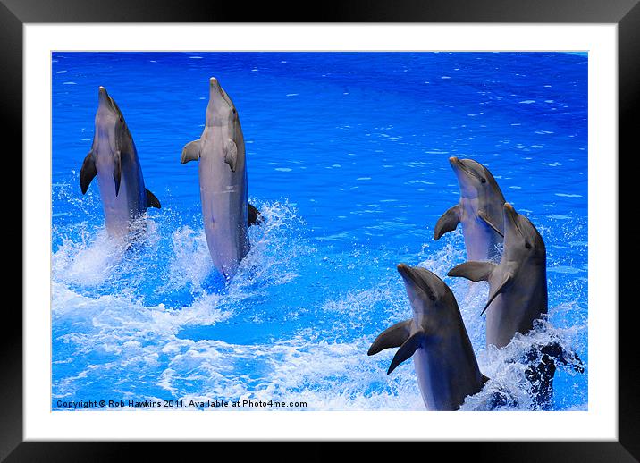 Standing to Attention Framed Mounted Print by Rob Hawkins