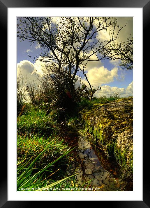 Trees, grass, water & sky Framed Mounted Print by Rob Hawkins