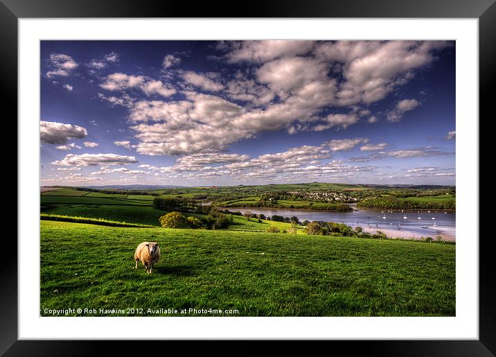 Dart Valley Sheep Framed Mounted Print by Rob Hawkins