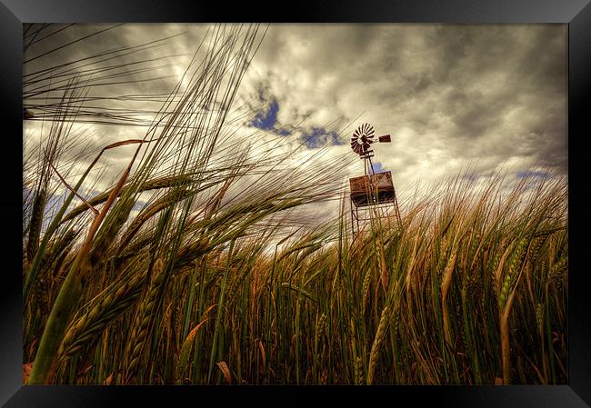 Barley & the Pump Framed Print by Rob Hawkins