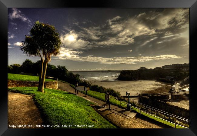 Palm tree over Towan Beach Framed Print by Rob Hawkins