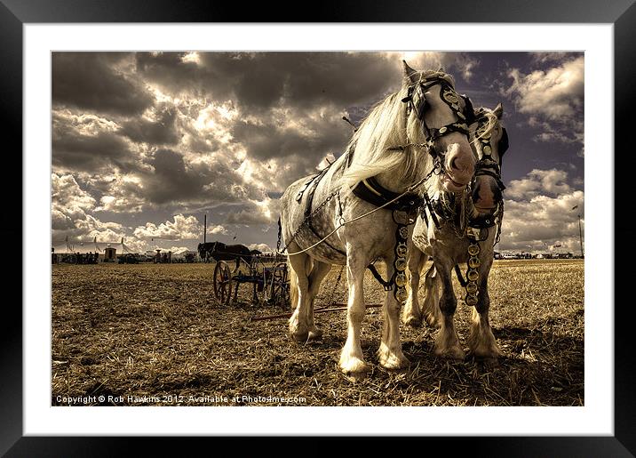 Angel & Lad at the GDSF Framed Mounted Print by Rob Hawkins