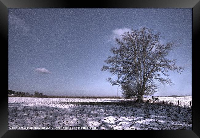 Let it snow Framed Print by Rob Hawkins