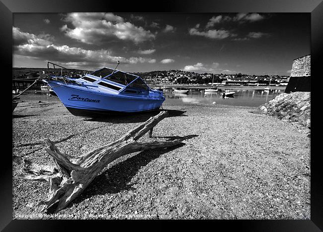 Fortuna and Driftwood Framed Print by Rob Hawkins