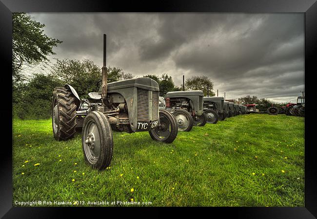 Mostly Fergies Framed Print by Rob Hawkins