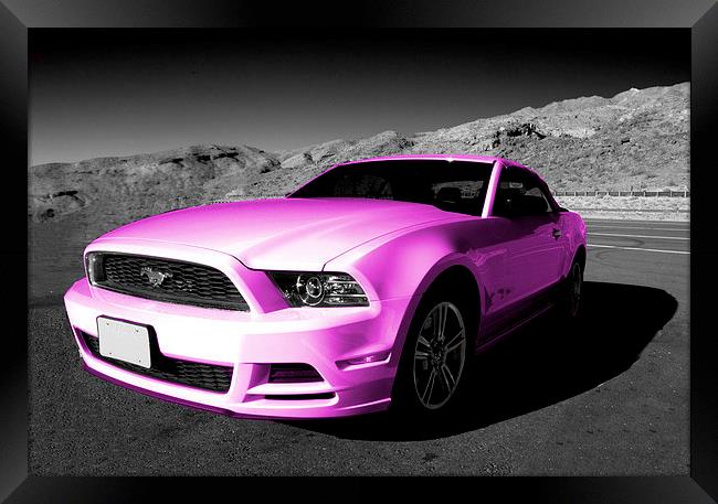 Pink Mustang Framed Print by Rob Hawkins