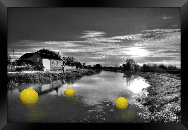 Balls of Athelney Framed Print by Rob Hawkins