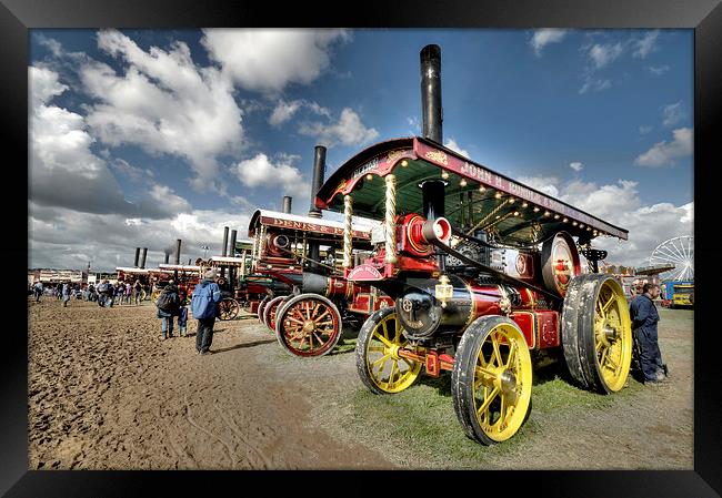 The Line Up Framed Print by Rob Hawkins