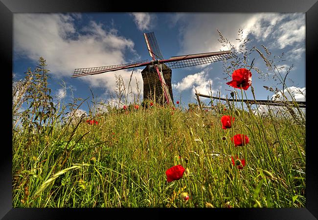 Windmill poppies Framed Print by Rob Hawkins
