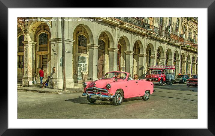  Pink Crestliner  Framed Mounted Print by Rob Hawkins