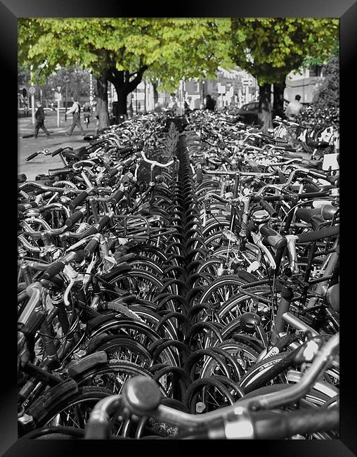Bicycles Framed Print by Rob Hawkins