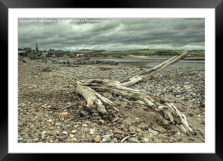  Stonehaven Driftwood Framed Mounted Print by Rob Hawkins
