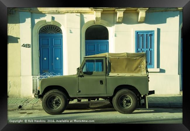 Maltese Landy  Framed Print by Rob Hawkins