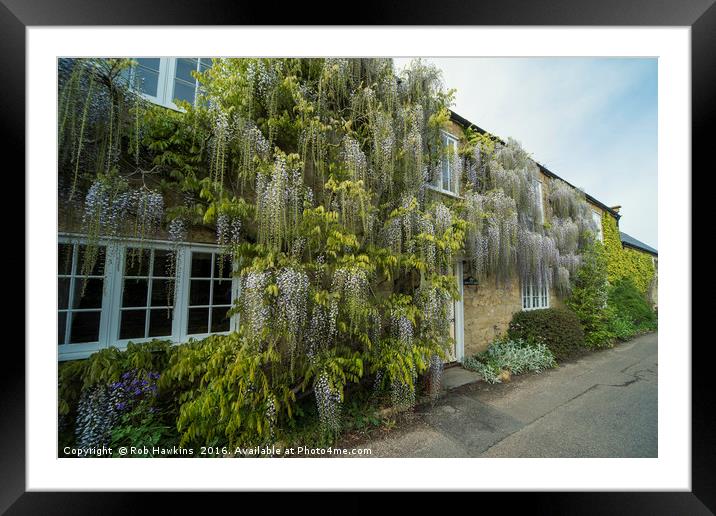 Wisteria Cottage  Framed Mounted Print by Rob Hawkins