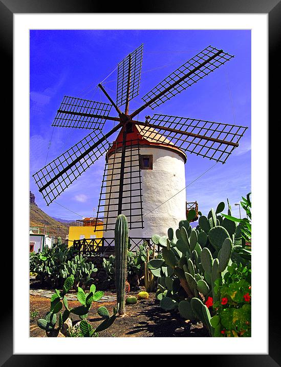 Tropical Windmill Framed Mounted Print by Rob Hawkins