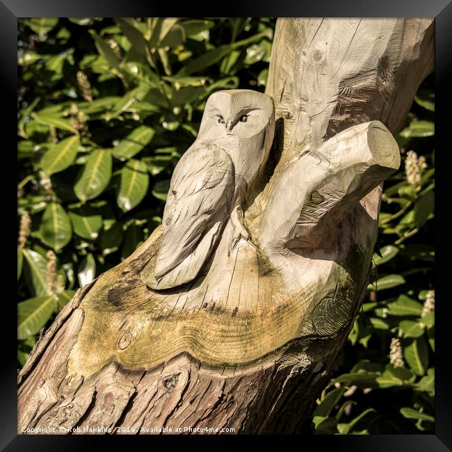 Owl Tree  Framed Print by Rob Hawkins