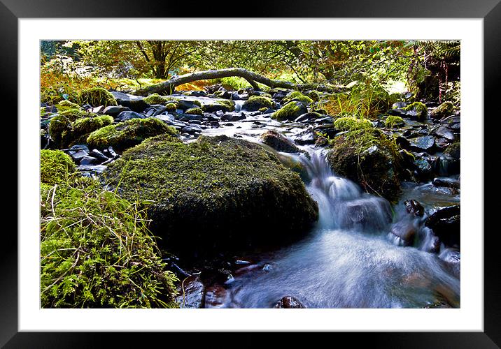 Exmoor Stream Framed Mounted Print by Rob Hawkins