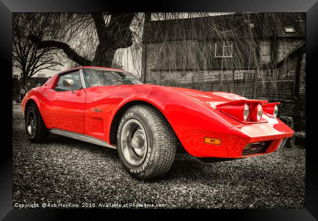Little Red Stingray Framed Print by Rob Hawkins