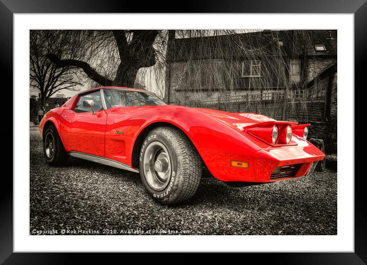 Little Red Stingray Framed Mounted Print by Rob Hawkins