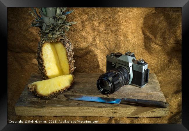 Praktica and Pineapple  Framed Print by Rob Hawkins
