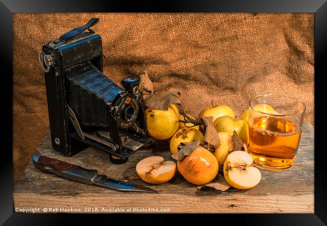 Agfa and Apples Framed Print by Rob Hawkins