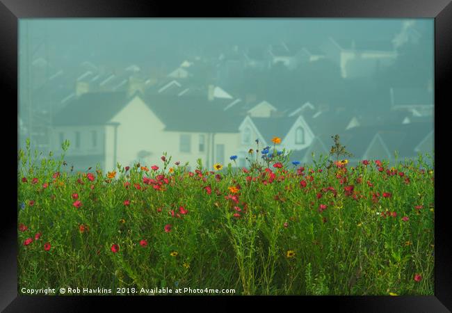 Swansea Wild Flowers  Framed Print by Rob Hawkins