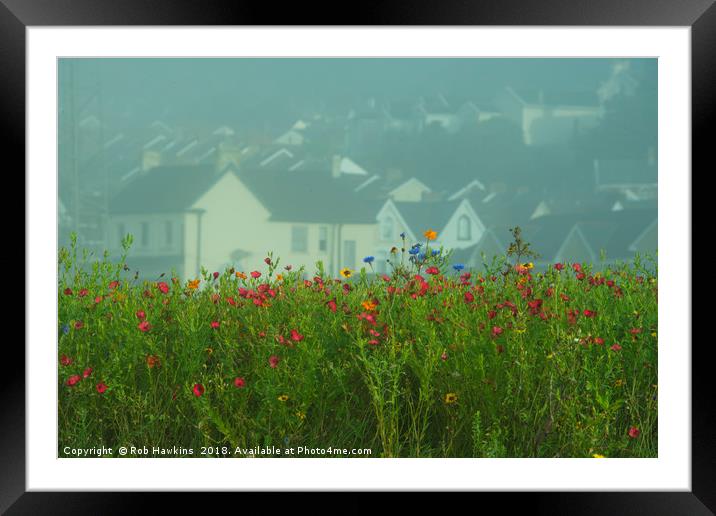 Swansea Wild Flowers  Framed Mounted Print by Rob Hawkins