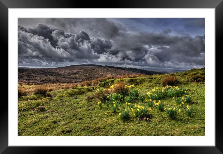 Springtime on the moors Framed Mounted Print by Rob Hawkins
