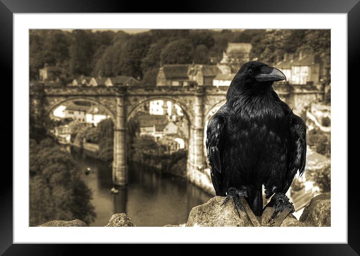 The Raven of Knaresborough Castle Framed Mounted Print by Rob Hawkins