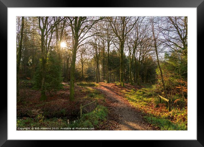 Neroche Forest Framed Mounted Print by Rob Hawkins