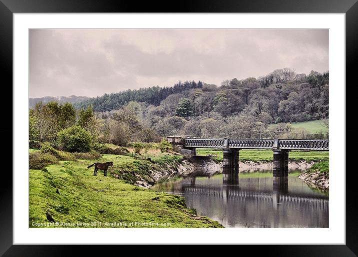 Barnstaple Old Bridge Framed Mounted Print by Alexia Miles