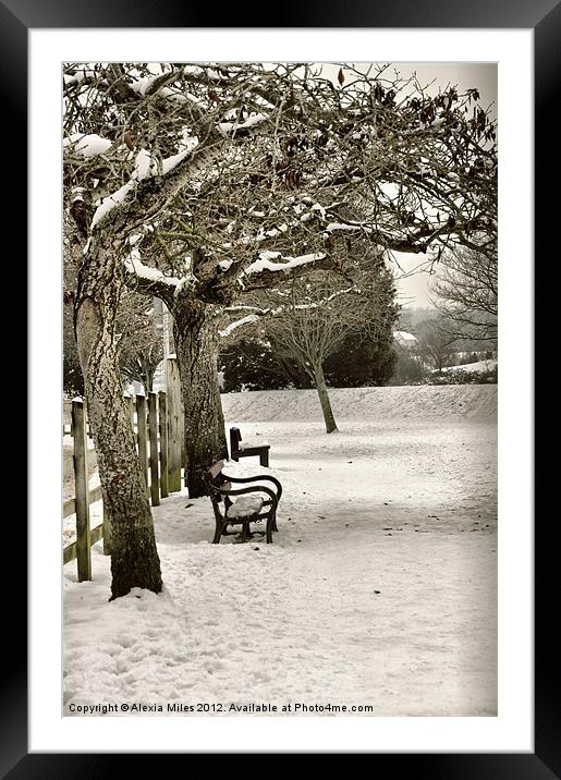 Winter Framed Mounted Print by Alexia Miles
