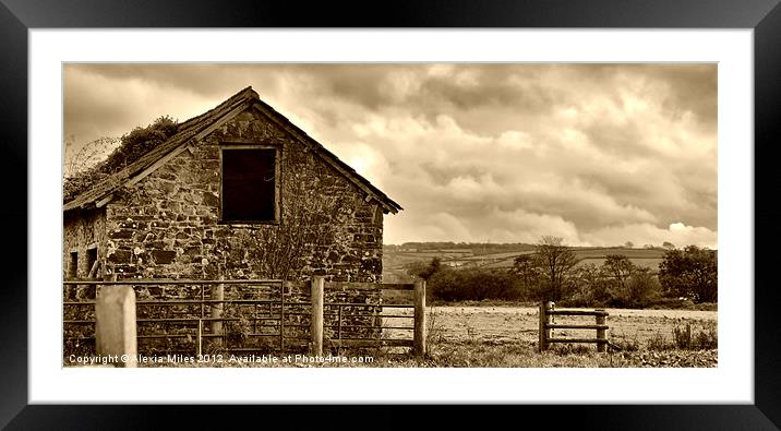 Little Barn Framed Mounted Print by Alexia Miles