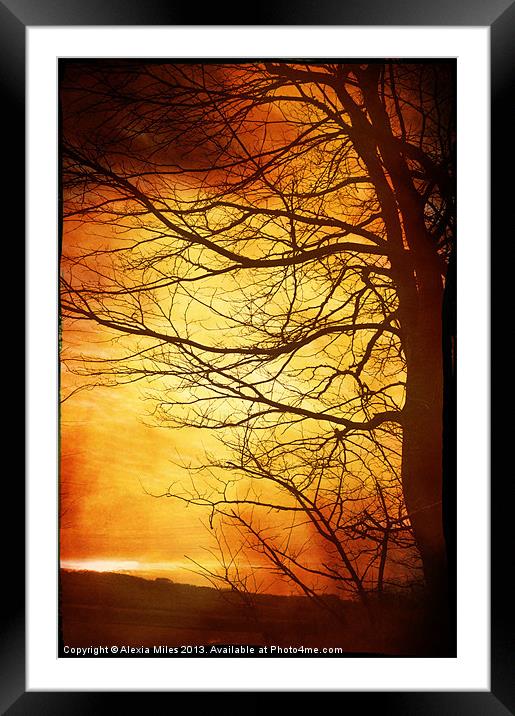 Misty Red Framed Mounted Print by Alexia Miles