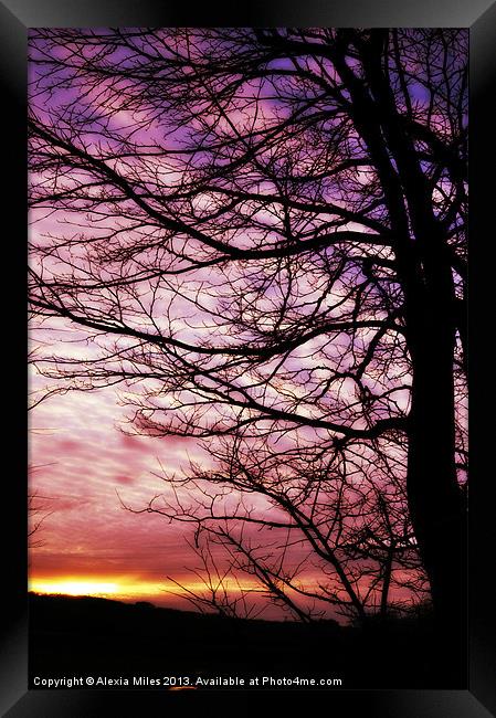 Winter sunset Framed Print by Alexia Miles