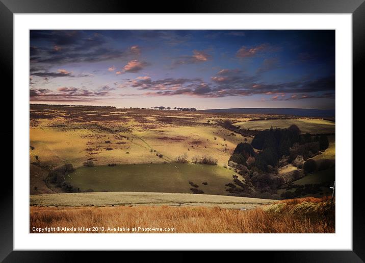 Exmoor Devon Framed Mounted Print by Alexia Miles